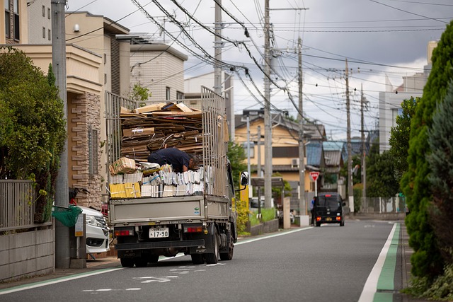Grøn økonomi: Kan bæredygtighed og vækst gå hånd i hånd?
